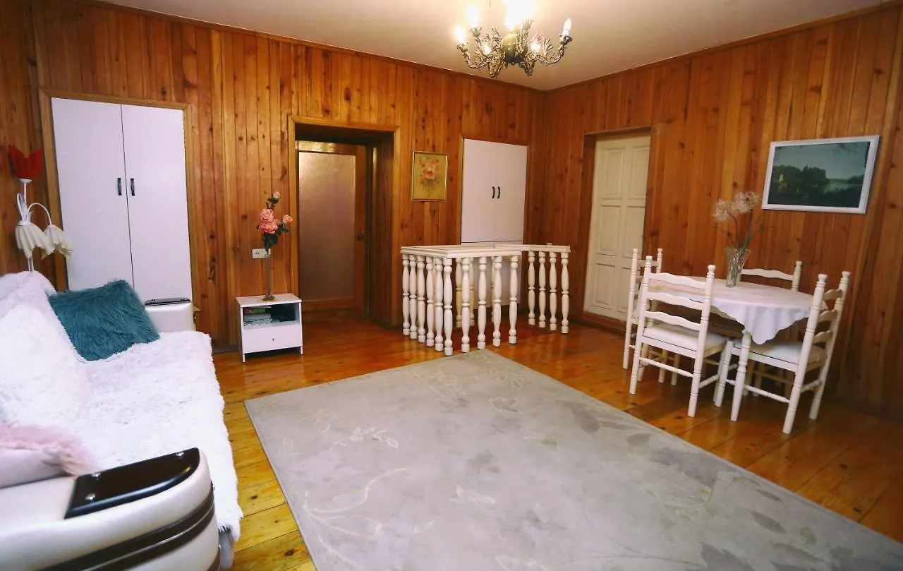 Apartment On Freedom Square Diuma Street 트빌리시